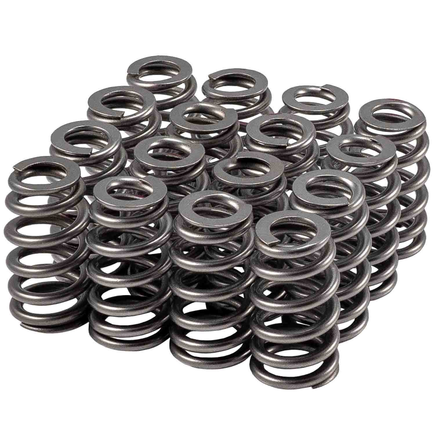VALVE SPRING SET