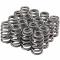VALVE SPRING SET