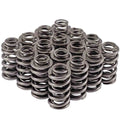 VALVE SPRING SET