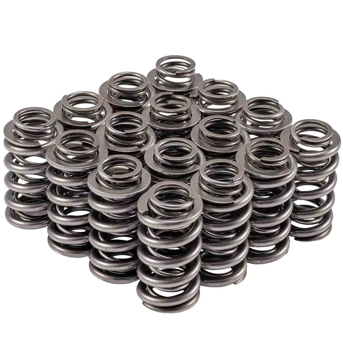 VALVE SPRING SET