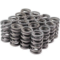 VALVE SPRING SET