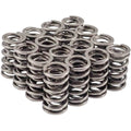 VALVE SPRING SET