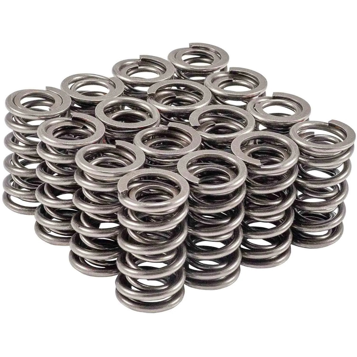 VALVE SPRING SET