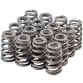 VALVE SPRING SET