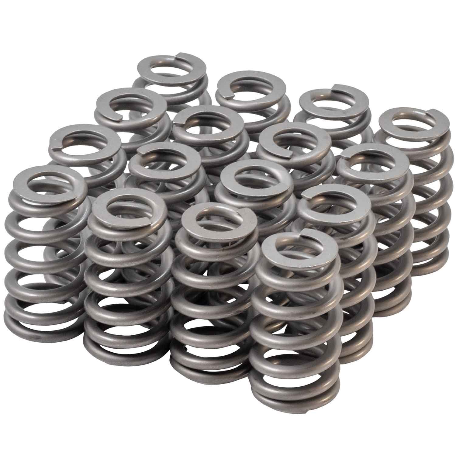 VALVE SPRING SET