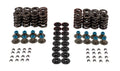 VALVE SPRING KIT