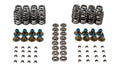 VALVE SPRING KIT