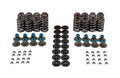 VALVE SPRING KIT