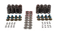 VALVE SPRING KIT