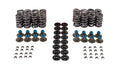 VALVE SPRING KIT