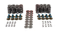 VALVE SPRING KIT