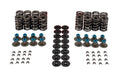 VALVE SPRING KIT