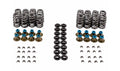 VALVE SPRING KIT
