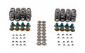 VALVE SPRING KIT