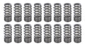 1.270 Valve Springs - Ovate Beehive (16)