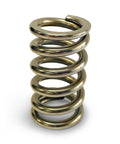 Calibrated Test Spring Medium 50-450lbs