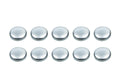 Expansion Plugs - 2-1/2 (10)