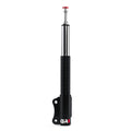STRUT COILOVER DBL ADJ FORD