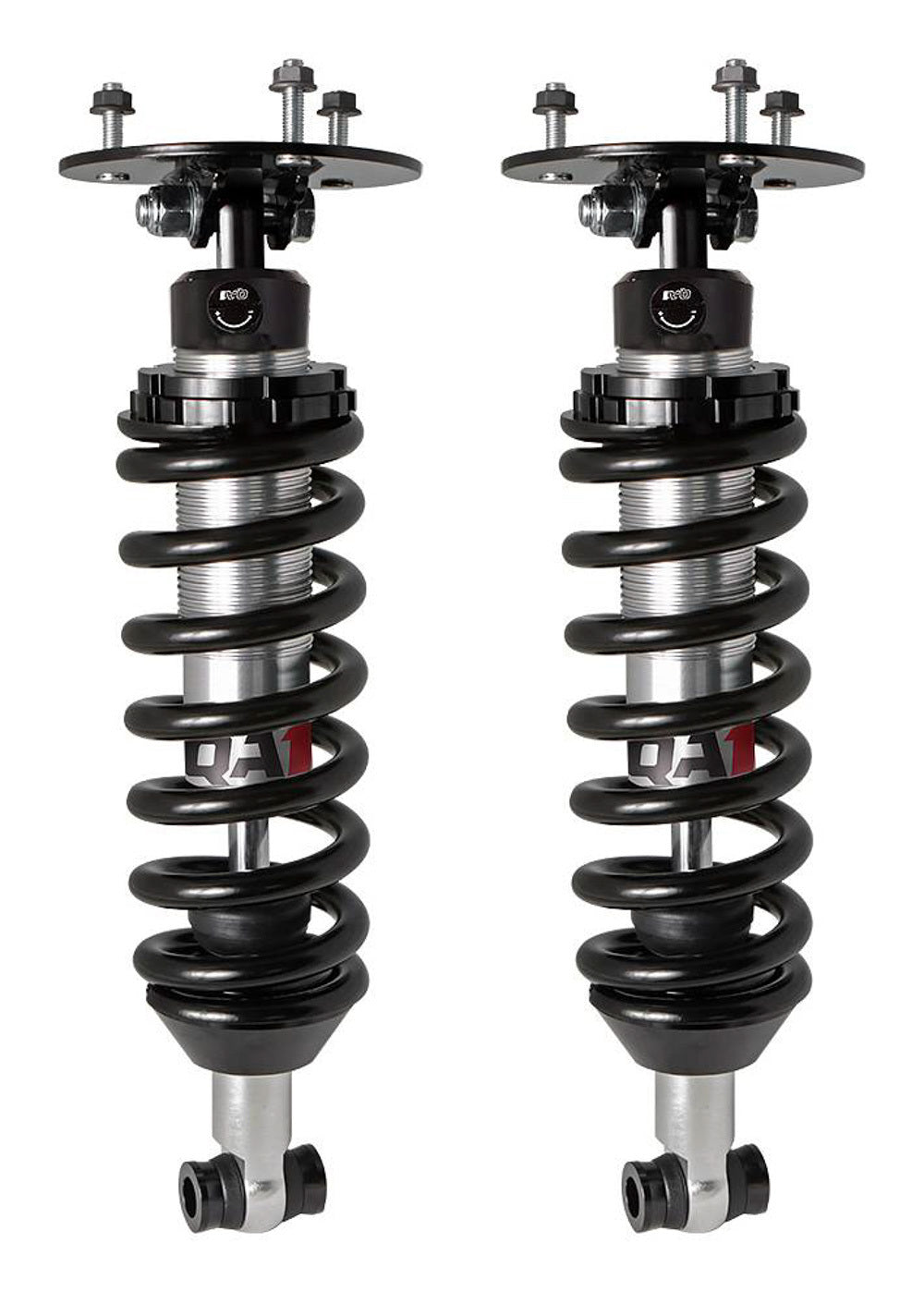 SHOCK ABSORBER AND COIL SPRIN