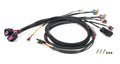 Wiring Harness MSD GM LS CT525Engine