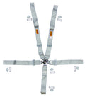 SAFETY HARNESS CAMLK PLATINUM