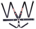 CAMLOCK 6PT PD LAP BELTS BLK