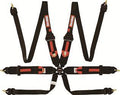 FIA HANS FHR CAMLOCK BELTS