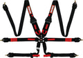 FIA HANS FHR CAMLOCK BELTS