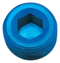 1/2in Allen Pipe Plug