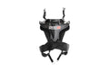 HEAD AND NECK RESTRAINT SYSTEM