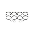 O-Ring Kit - for Early Strange 4-Piston Caliper