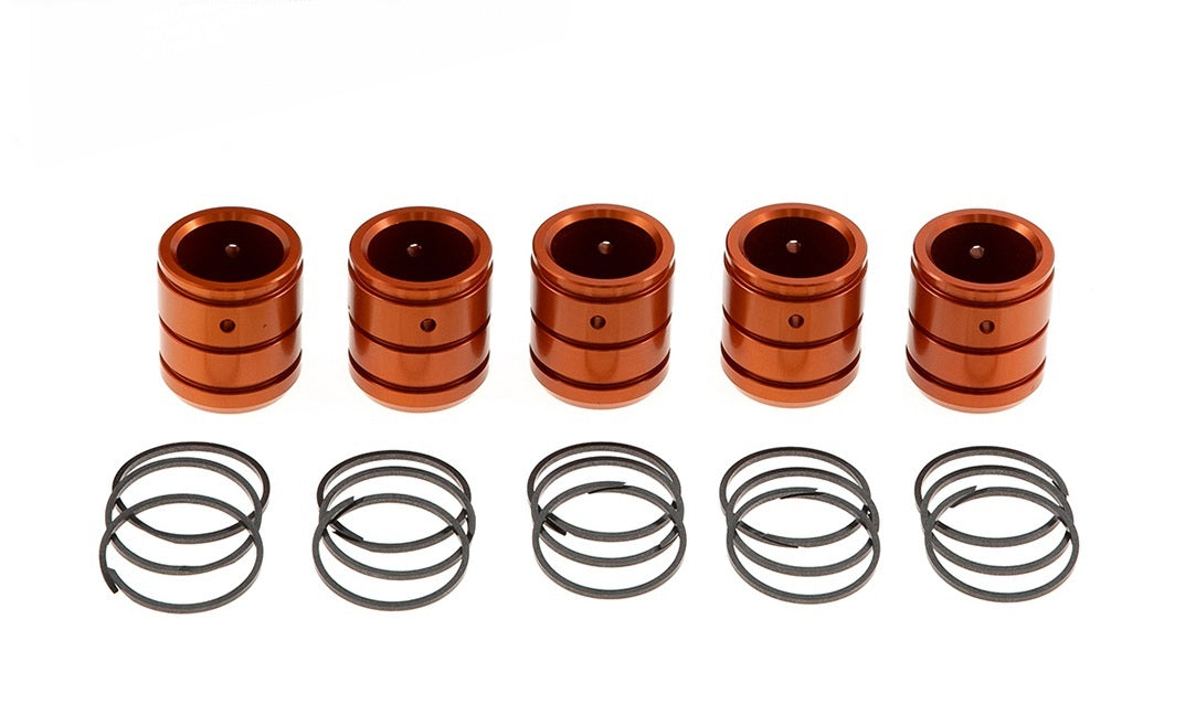 ACCUMLATOR PISTON AND RING KIT
