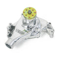 WATER PUMP SBC ACTION POLISH