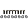 BOLTS CALIPER 5/16-24 SET