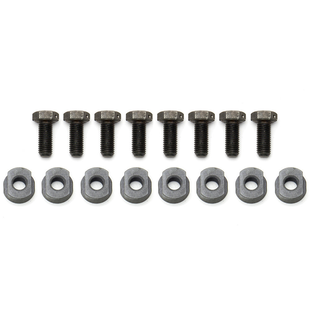 BOLTS CALIPER 5/16-24 SET