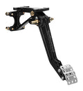 PEDAL ASSEMBLY