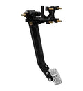 PEDAL ASSEMBLY