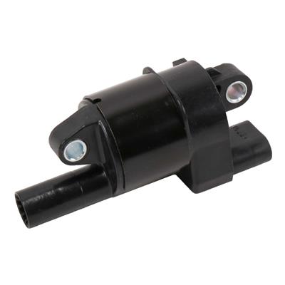 COIL ASM-IGN