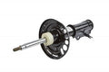 STRUT ASSEMBLY