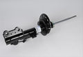 SUSPENSION STRUT ASSEMBLY