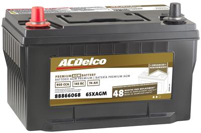 PROFESSIONAL AGM BATTERY