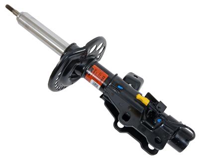 STRUT ASM FRONT SUSP