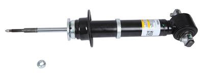 ABSORBER ASM-FRT SHK