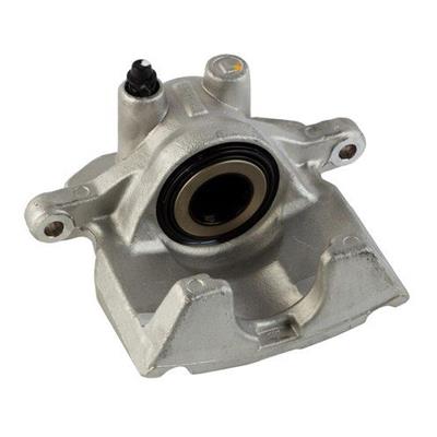 CALIPER ASM-RR BRK (W/O BRK PA