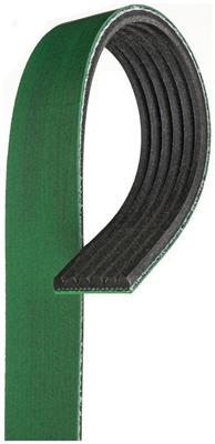 SERPENTINE BELT