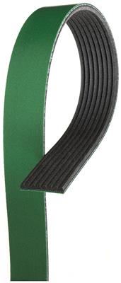 SERPENTINE BELT