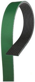 SERPENTINE BELT