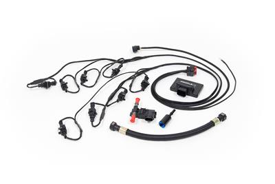 EFI FLEX FUEL CONVERSION
