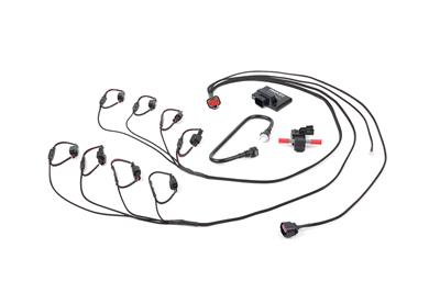 EFI FLEX FUEL CONVERSION