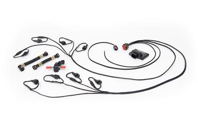 EFI FLEX FUEL CONVERSION